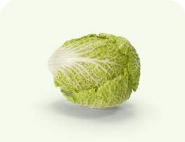 Cabbage